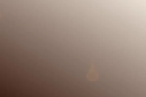 La Nonna, Il Profumo Di Lavanda E Il Ricordo Che Non Sbiadisce