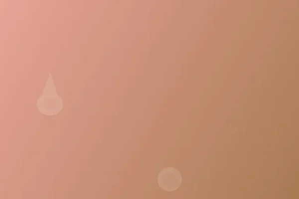 Fragranze Di Primavera: Rinnovare La Casa Con I Profumi Giusti