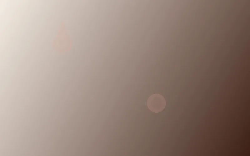 Note Di Testa, Cuore E Fondo: Capire Il Linguaggio Dei Profumi